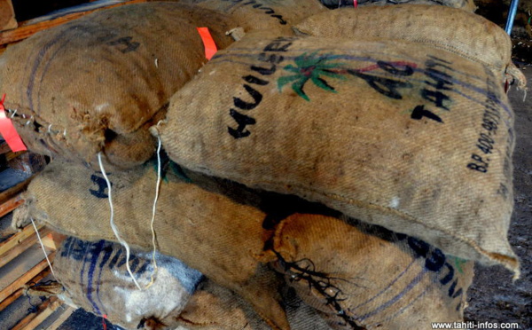 Les îles en difficulté à cause des grèves