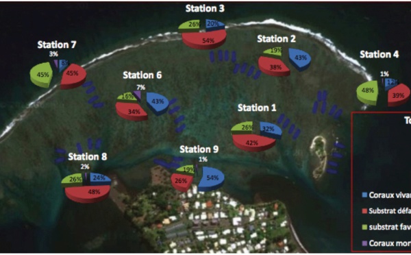Mahina met en place la première aire marine éducative de Tahiti