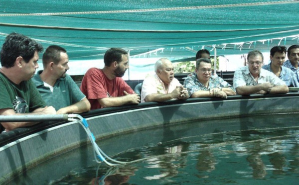 Visite de Frédéric Riveta au centre technique aquacole de Vairao et au centre Ifremer du Pacifique