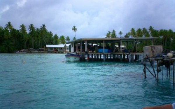 Un coup de pouce pour les perliculteurs de Takaroa