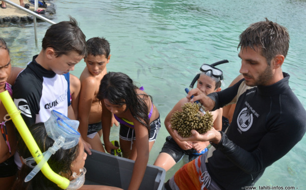 Quand le lagon est expliqué aux enfants par les scientifiques