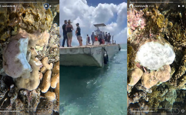 ​Barge à Teahupo'o : Le parquet ouvre une enquête