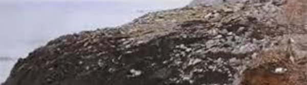 Une langue de terre surgit au nord du Japon