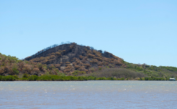 La Nouvelle-Calédonie placée en "risque extrême" de feu