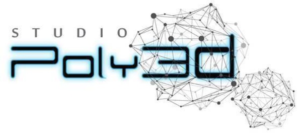 Portraits : Trois jeune gamers tentent le défi de Poly3D