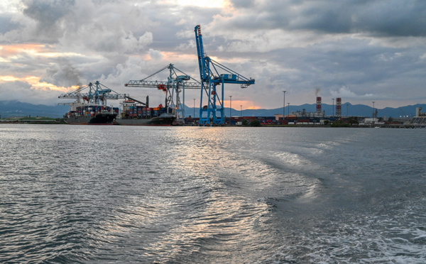 Guadeloupe: saisie de plus de 200 tonnes de riz contaminé aux pesticides et fongicides