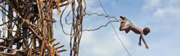 Saut du Gol à Vanuatu : la tension monte entre tribus rivales