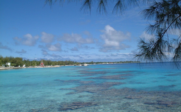 Un comité local pour préparer la conférence environnementale COP 21