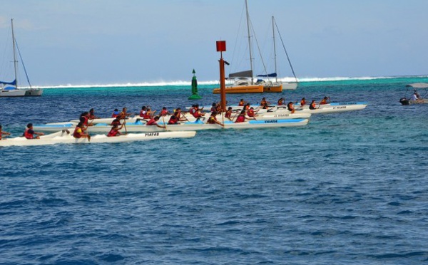 Tama Aito Hoe, Un vif succès!