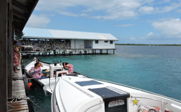 La perle de Tahiti bientôt confrontée à la concurrence chinoise