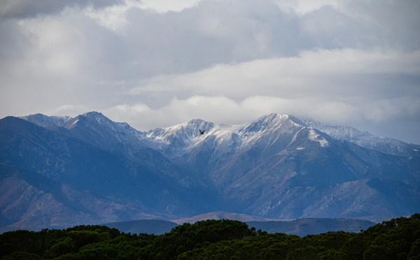 Début d'un épisode de froid, les pouvoirs publics vigilants