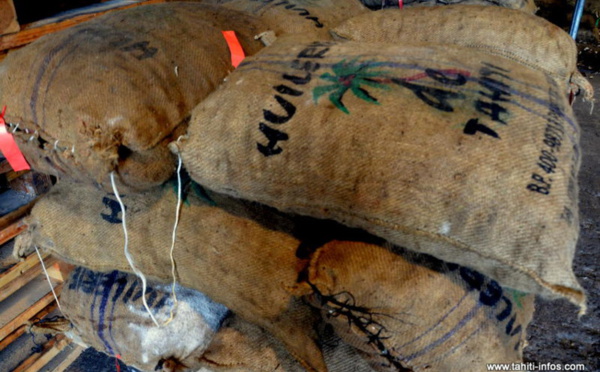 Grève à l'huilerie de Tahiti, les embarquements de coprah suspendus