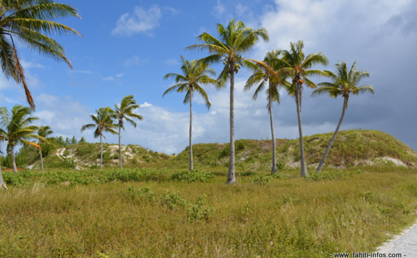 Hao : un complexe aquacole dans un lagon pollué ? 