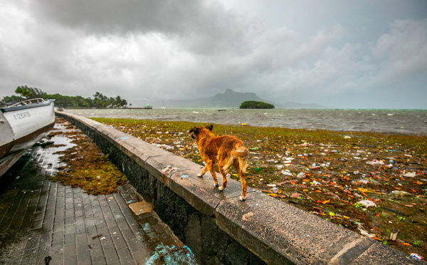 Premiers dégâts et chaos sur l'île Maurice, à l'approche du cyclone Belal
