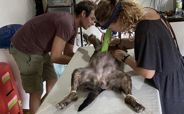 Les vétérinaires itinérants relancent l'appel à l'aide 