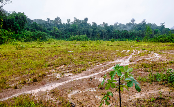 A La Réunion, des moyens aériens indispensables aux réparations des dégâts du cyclone Belal