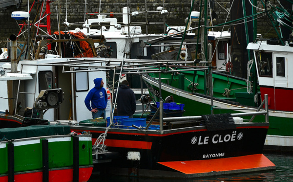 Golfe de Gascogne: interdiction de pêche inédite pour protéger les dauphins