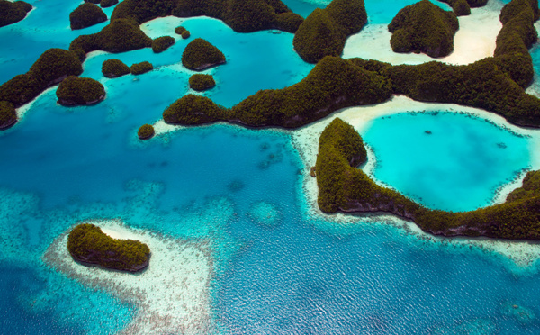 Les Palaos, premier pays à ratifier le traité pour protéger la haute mer