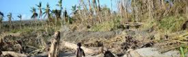 Préservation des forêts au service de la protection du climat : l’Océanie fait son bilan