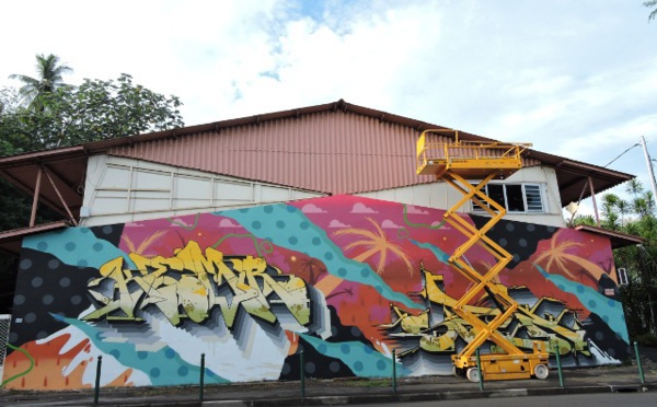 Papeete : deux cambrioleurs en série interpellés