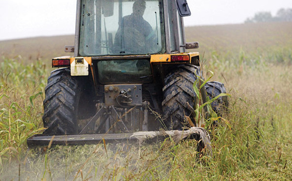 Le Parlement européen ouvre la voie aux "nouveaux OGM"