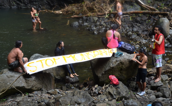 Une marche citoyenne contre Monsanto, le Roundup et les OGM