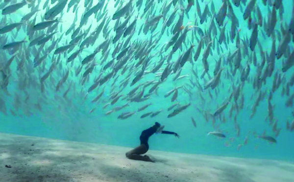Un “aquaballet” époustouflant