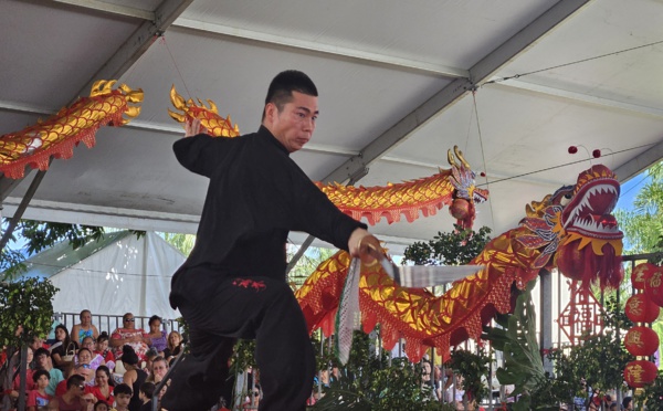 Plein succès pour la journée culturelle chinoise