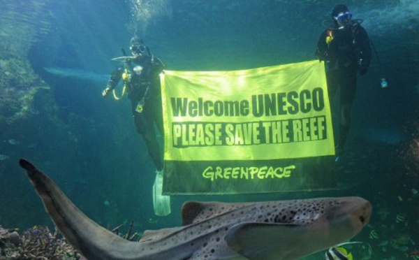 Grande barrière de corail: l'Unesco donne un an à l'Australie pour mieux la protéger