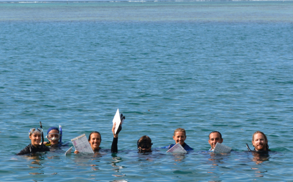 Une association mobilise les volontaires pour veiller sur nos récifs