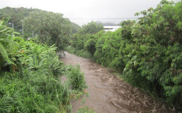 Recrudescence du nombre de cas de leptospirose