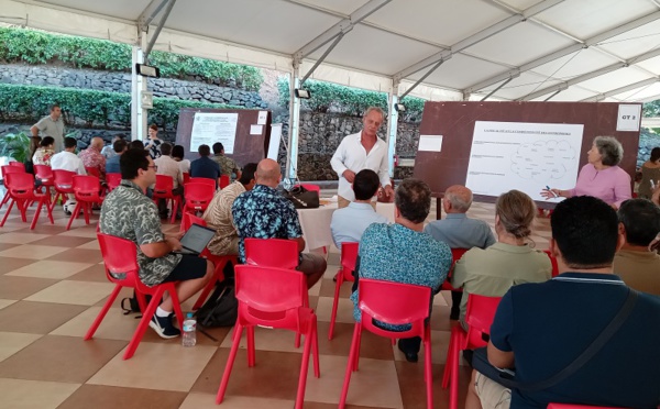 Pas de réforme fiscale avant la fin de l'année