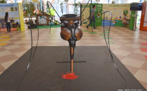 Moustiques et arboviroses : tout savoir en cinq espaces d'exposition