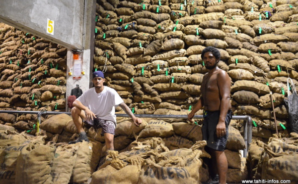 Huilerie de Tahiti : "de 8 à 12 mois" pour résorber le surstock de coprah (Riveta)