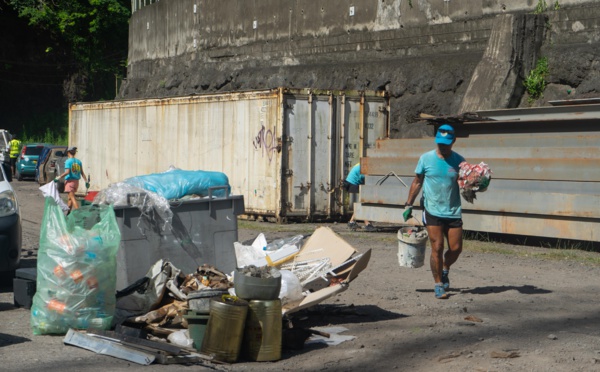 Quand la dépollution rencontre la maltraitance animale