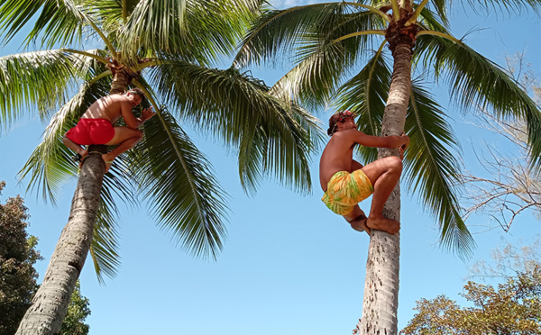 Démarrage en douceur pour le championnat de Tahiti des sports traditionnels