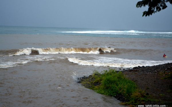 Leptospirose en augmentation, la dengue touche principalement les enfants