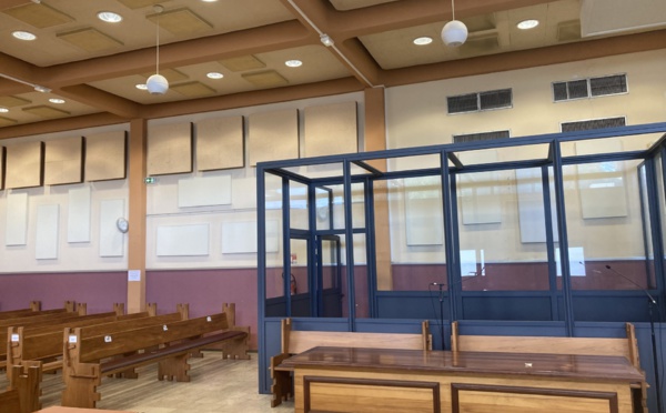 10 mois ferme pour des pulsions de vol