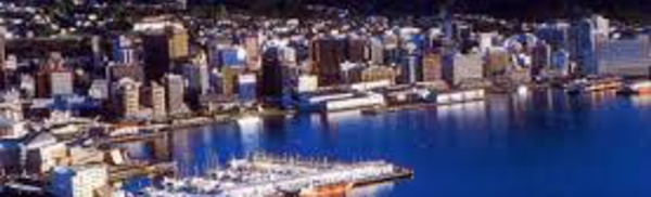 Wellington, vainqueur de Waterloo mais politicien décrié