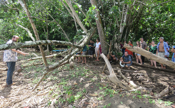 Un projet expérimental pour restaurer les écosystèmes littoraux