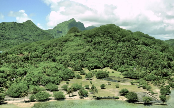 Des architectes évincés du projet Taputapuātea