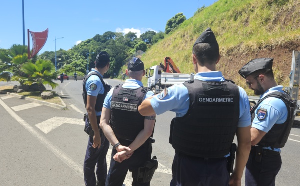 ​La chasses aux stupéfiants est engagée