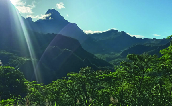 Décès d'une jeune fille dans la vallée de la Punaruu