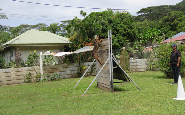 “Des chiens de qualité” pour la première compétition canine de l’année