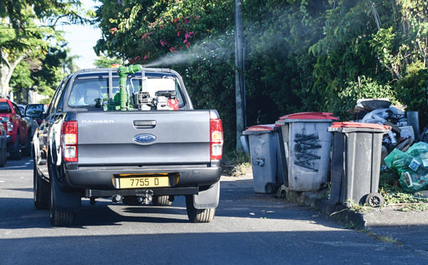 Les communes face à la dengue
