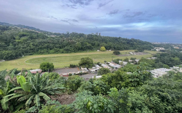 Bras de fer (à cheval) au domaine Labbé