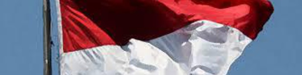 L’Indonésie « membre associé » au Groupe Mélanésien Fer de Lance : réactions diverses