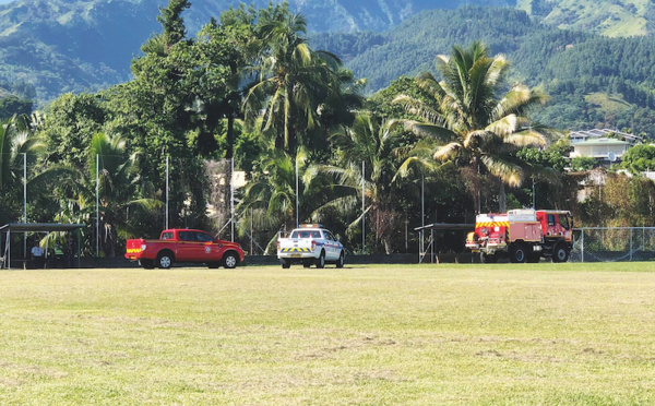 Octogénaire tuée à Pirae : Les propriétaires des chiens renvoyés en correctionnelle