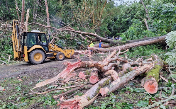 Un arbre s’effondre sur la route à Puunui