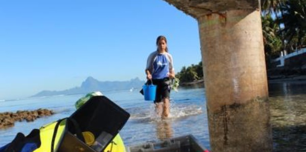 Jardinage dans le lagon de Punaauia